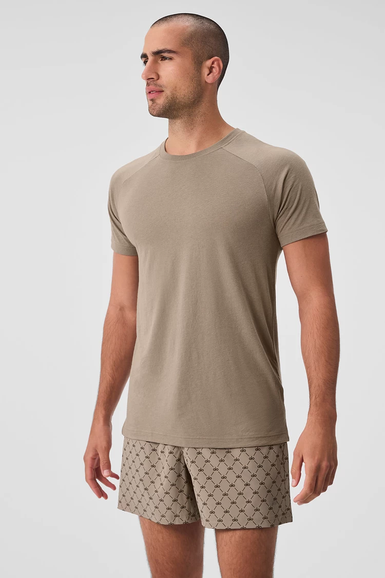 Aloyoga The Triumph Crew Neck Tee - Gravel