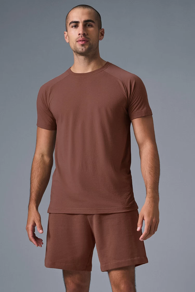 Aloyoga The Triumph Crew Neck Tee - Chestnut