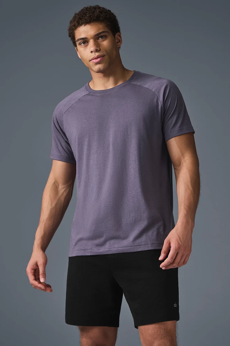 Aloyoga The Triumph Crew Neck Tee - Italian Plum