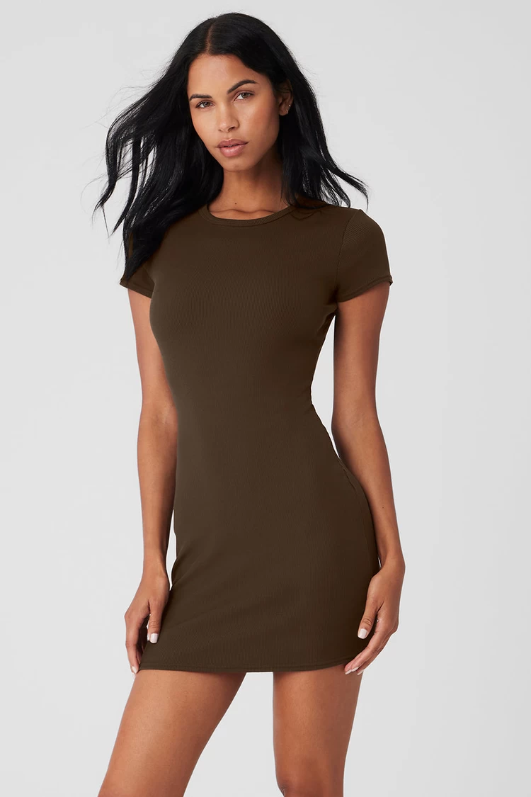 Aloyoga Goddess Ribbed Short Sleeve Dress - Espresso