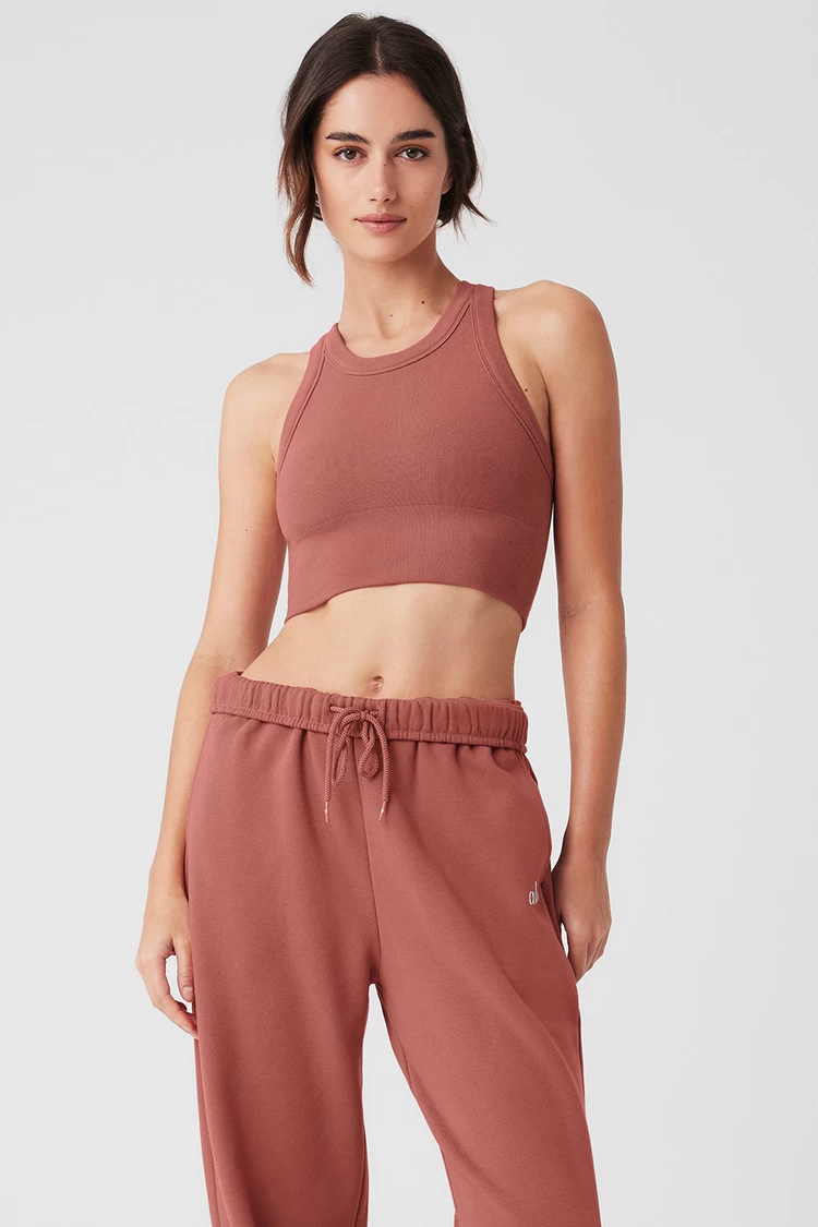 Aloyoga Seamless Delight High Neck BH – Weiches Terrakotta